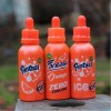 Fantasi Orange ICE (65ML) Likit