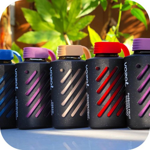 VOZOL GEAR 10000 Puff Disposable Kit 500mAh